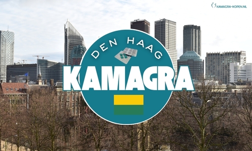 Bestel Kamagra in Den Haag bij Kamagra-kopen.nl. Discreet verpakt, originele erectiemiddelen, vandaag besteld = morgen in huis.